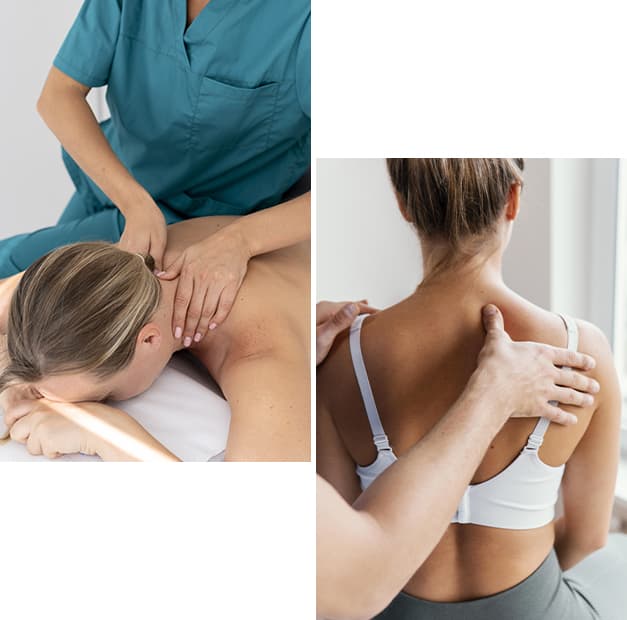 Chiropracteur pour animaux à Paris, Yvelines, Chantilly