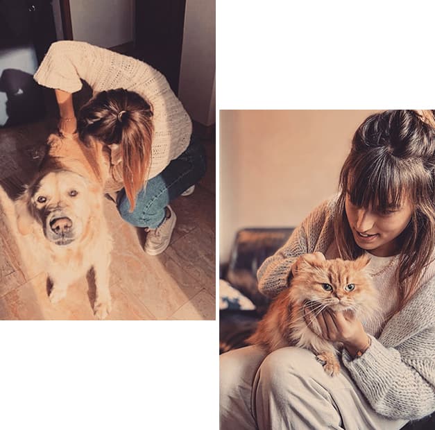 Chiropracteur pour animaux à Paris, Yvelines, Chantilly