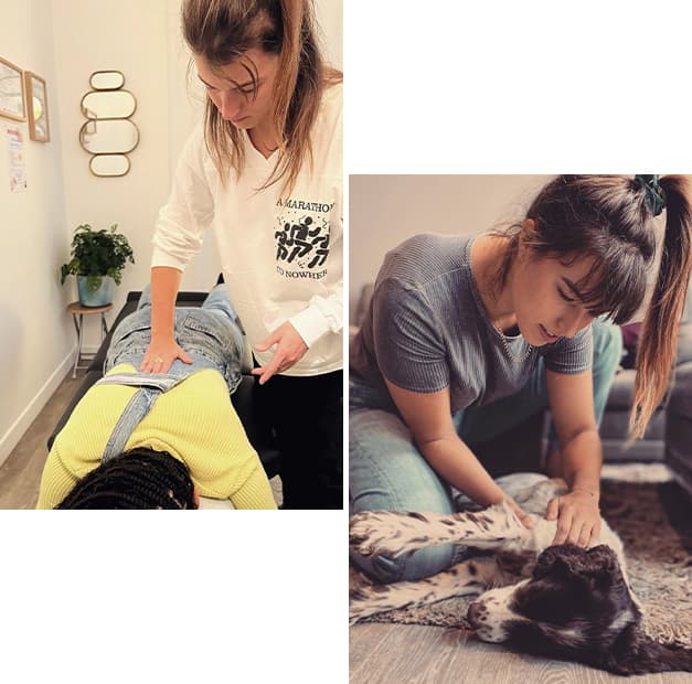 Margot Robert : Chiropracteur à Paris 11 et Créteil pour Adultes et animaux